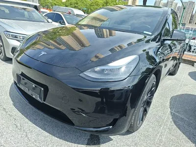 2022 Tesla Model Y Rear-Wheel Drive Version, фото 1, лот 10370261
