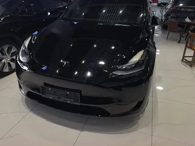 2022 Tesla Model Y Rear-Wheel Drive Version, фото 2, лот 10394618