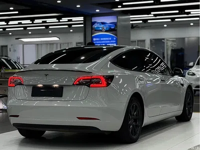 2021 Tesla Model 3 Standard Range Rear-Wheel Drive Upgrade 3D6, фото 4, лот 11569898