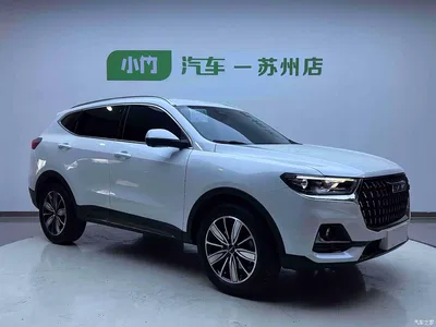 2023 Haval H6 National Trend Edition 1.5T Automatic Champion, фото 3, лот 10283819