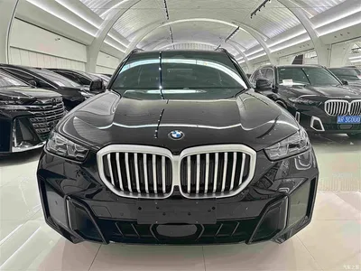 2023 BMW X5 xDrive 40Li M Sport Black Night Package, фото 2, лот 11137413
