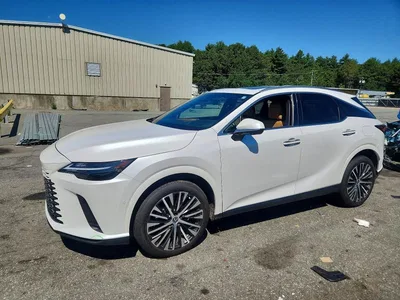 2024 LEXUS RX 350 PREMIUM+, фото 1, лот 10844702