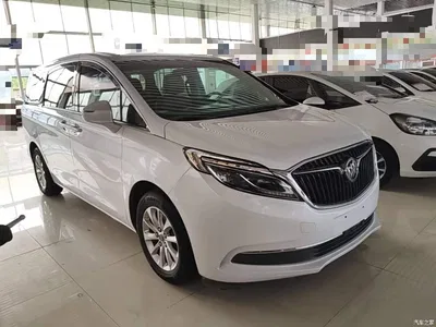 2017 Buick GL8 ES 28T Premium China V, фото 4, лот 10259261