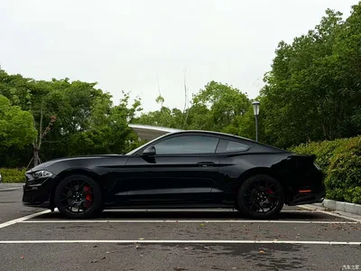 2020 Ford Mustang 2.3L EcoBoost, фото 4, лот 10297248