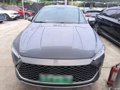 2023 BYD Qin PLUS Champion Edition DM-i 55KM Leading, фото 3, лот 11134673