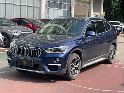 2019 BMW X1 sDrive18Li Premium Model, фото 1, лот 10769257