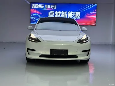 2019 Tesla Model 3 (Import) Standard Range RWD Upgraded Edition, фото 2, лот 10346333