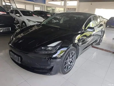 2021 Tesla Model 3 Standard Range Rear-Wheel Drive Upgrade, фото 2, лот 10369252