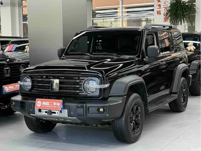 2021 Tank 300 Off-road Version 2.0T Conqueror, фото 1, лот 10407211