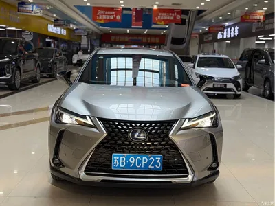 2020 Lexus UX 260h Explore Fun Edition, фото 2, лот 11567656