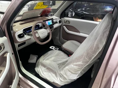 2025 Geely Galaxy Panda Model Year 210km Panda Kart, фото 4, лот 10435358