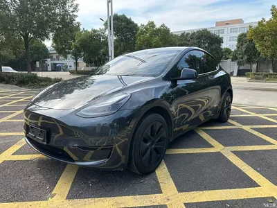2024 Tesla Model Y Rear-Wheel Drive Version, фото 1, лот 11228282