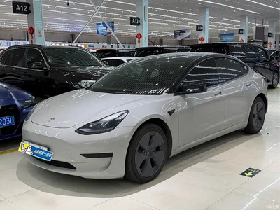 2022 Tesla Model 3 Model Rear-Wheel Drive Version, фото 1, лот 10771202