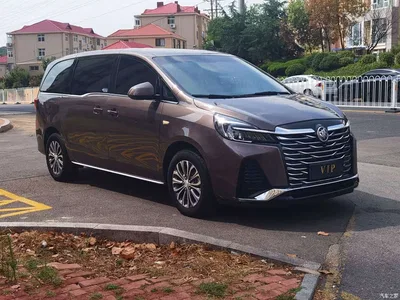 2023 Buick GL8 Model Land Business Class Comfort, фото 3, лот 11189863
