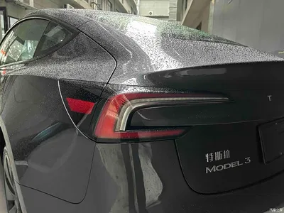 2023 Tesla Model 3 Rear-Wheel Drive, фото 4, лот 11344050