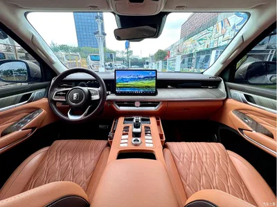 2022 Tank 500 3.0T Business Edition Zaojing 5-Seater, фото 4, лот 10403608