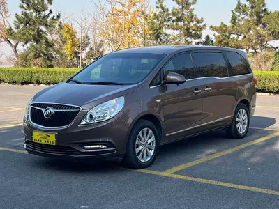 2018 Buick GL8 28T Luxury Model China VI, фото 1, лот 10684050