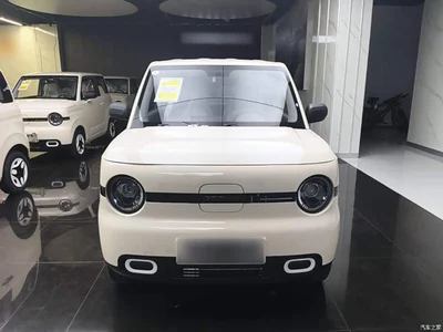 2025 Geely Galaxy Panda mini 210km Vitality Bear, фото 3, лот 10433223