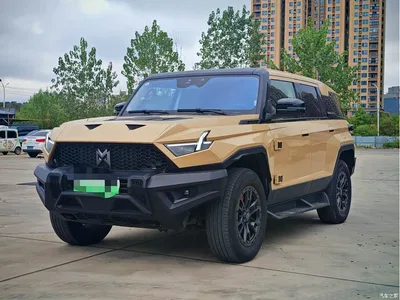 2023 Mengshi 917 Pure Electric Basic Edition, фото 1, лот 11642560