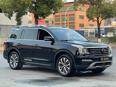 2017 GAC Trumpchi Trumpchi GS8 320T 2WD Luxury Smart Connect (7-seater), фото 3, лот 10420301