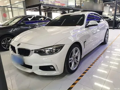2017 BMW 4 Series 425i Gran Coupe Leading M Sport Package, фото 1, лот 10468803