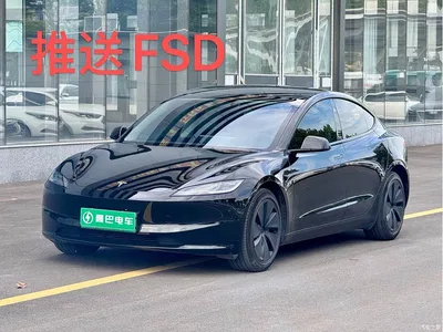 2023 Tesla Model 3 Rear-Wheel Drive, фото 2, лот 10452280