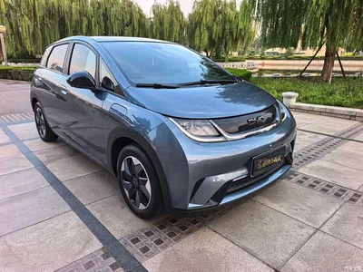2025 BYD Dolphin 420km Fashion Edition, фото 2, лот 10658386