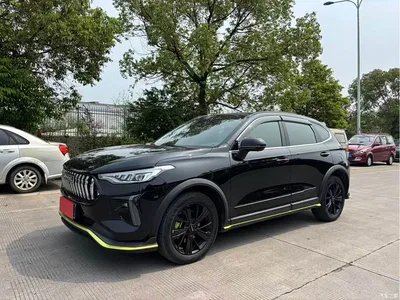 2021 Haval Chitu Turbo Edition 1.5T Golden Rabbit, фото 3, лот 10297728