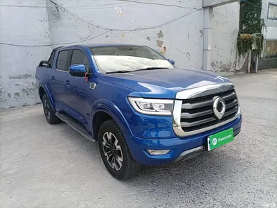 2021 Great Wall Pao 2.0T Passenger Global Edition Automatic Gasoline 2WD Comfort Standard Box GW4C20B, фото 4, лот 10675239