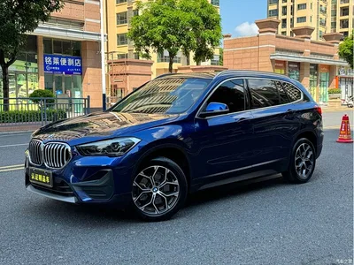 2020 BMW X1 sDrive25Li Leading Model, фото 1, лот 10817132