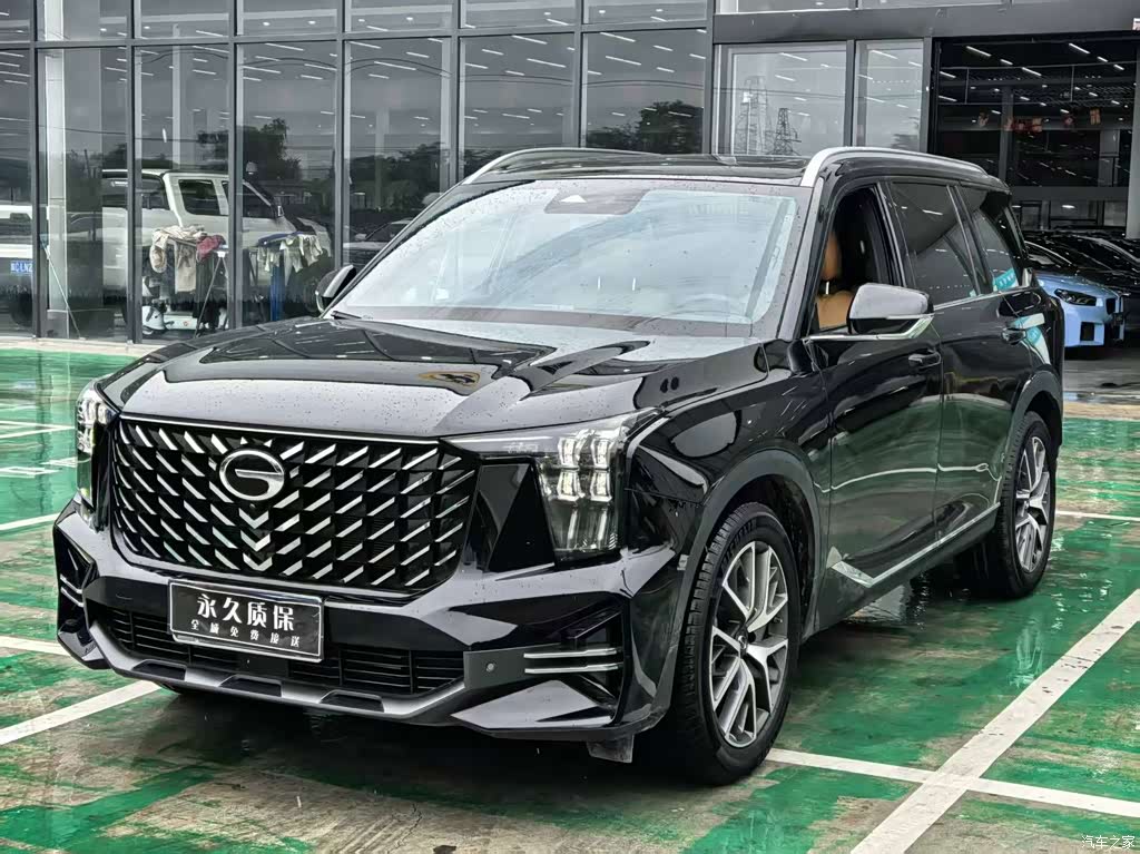 2025 GAC Trumpchi Trumpchi GS8 Pilot Series 2.0TGDI 2WD Luxury Edition 5-seater, фото 1, лот 11198878