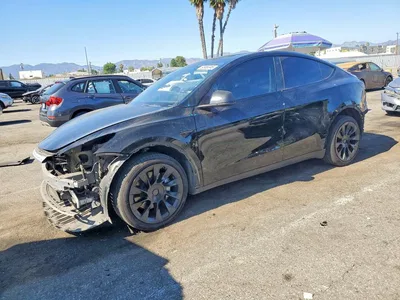 2023 TESLA MODEL Y, фото 1, лот 10851926