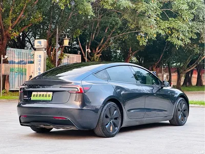 2023 Tesla Model 3 Rear-Wheel Drive, фото 4, лот 10625424