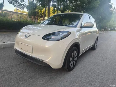 2024 Wuling Motors Wuling Bingo 333km Comfort Edition, фото 1, лот 10371678