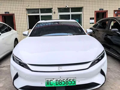 2021 BYD Han EV Standard Range Luxury, фото 1, лот 11584772