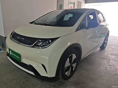 2023 BYD Dolphin 420km Fashion Edition, фото 2, лот 10260788