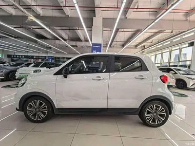 2021 Leapmotor T03 400 Luxury Edition, фото 4, лот 10316698