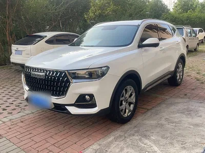 2021 Haval H6 National Trend Edition 1.5GDIT Automatic Champion Edition, фото 1, лот 10303082