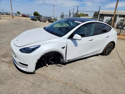 2024 TESLA MODEL Y, фото 1, лот 10854314