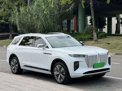 2021 Hongqi E-HS9 460km Flagship Deluxe 7-seater, фото 3, лот 11178547