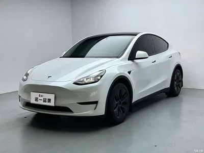 2023 Tesla Model Y Rear-Wheel Drive Edition, фото 1, лот 11066993