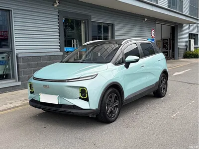2022 Geely E Firefly 401KM Delicate Tiger 4-seater, фото 1, лот 11166431