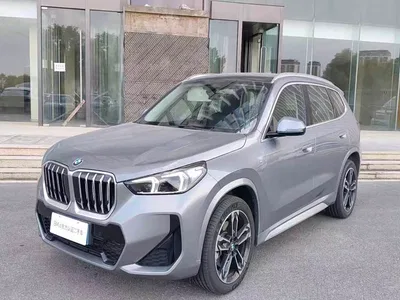 2024 BMW X1 sDrive25Li M Sport Package, фото 1, лот 11138886