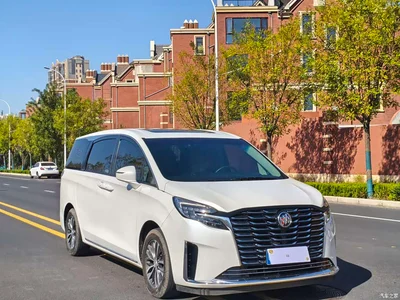 2023 Buick GL8 ES Landmaster Comfort, фото 3, лот 11580025