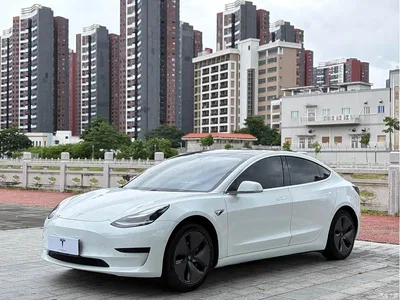 2019 Tesla Model 3 Standard Range Rear-Wheel Drive Upgrade, фото 1, лот 10366689