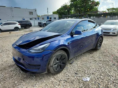 2025 TESLA MODEL Y, фото 1, лот 10856250