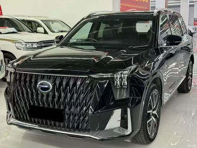 2022 GAC Trumpchi Trumpchi GS8 Pilot Series 2.0TGDI 2WD Premium Edition (6-Seater), фото 2, лот 10774698