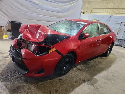 2019 TOYOTA COROLLA LE, фото 1, лот 11559220