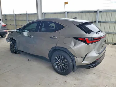 2025 LEXUS NX 350 PREMIUM, фото 2, лот 10843049
