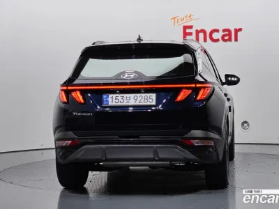 2023 Hyundai Tucson Gasoline 1.6 Turbo 2WD, фото 4, лот 10229076